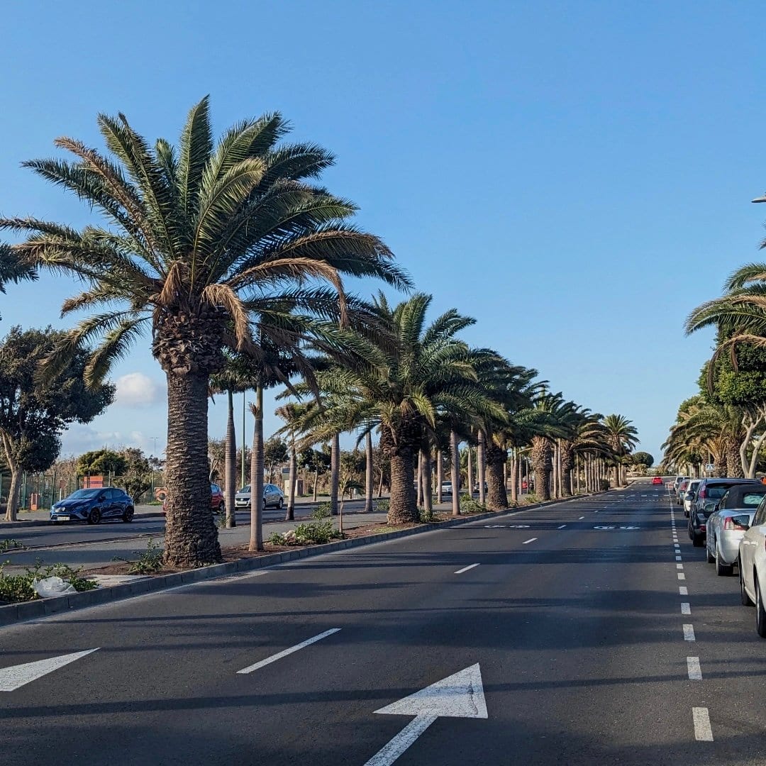 Información útil sobre Gran Canaria: la guía práctica antes de partir