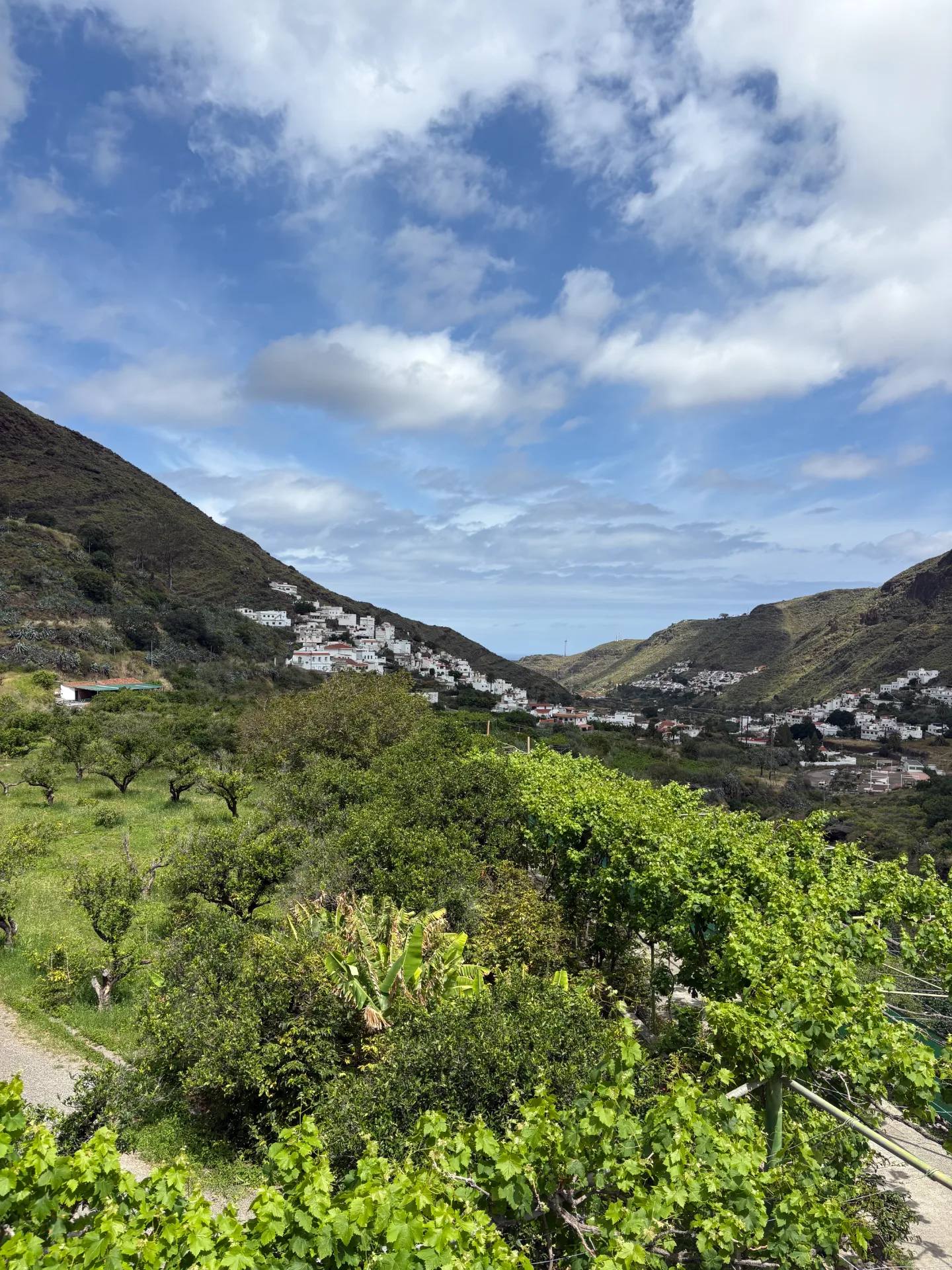 Besuch eines Landguts während eines Firmen-Retreats auf Gran Canaria