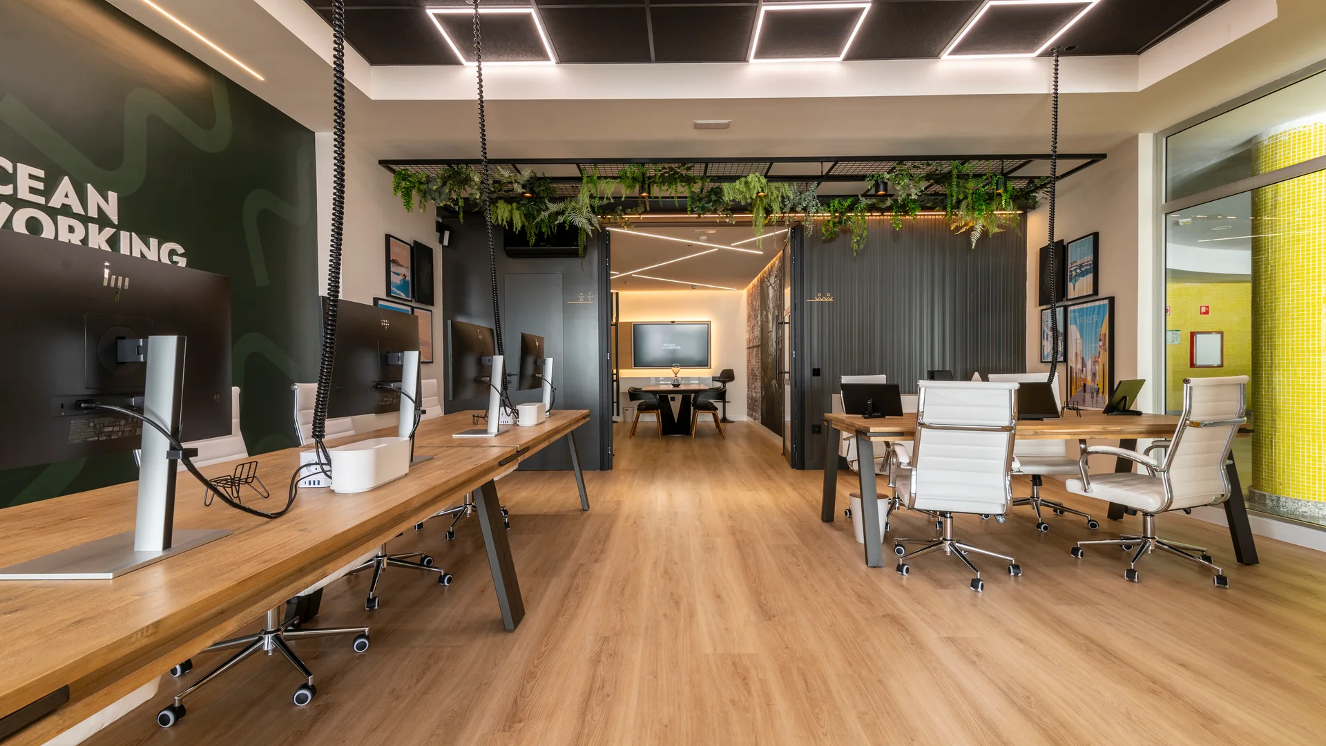 Espacio diáfano del coworking Oceanworking en Maspalomas con puestos de madera, sillas ergonómicas y plantas
