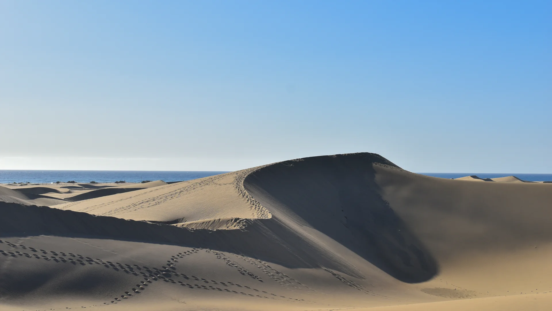 Dunas de Maspalomas con el océano en el horizonte bajo un cielo despejado en Gran Canaria