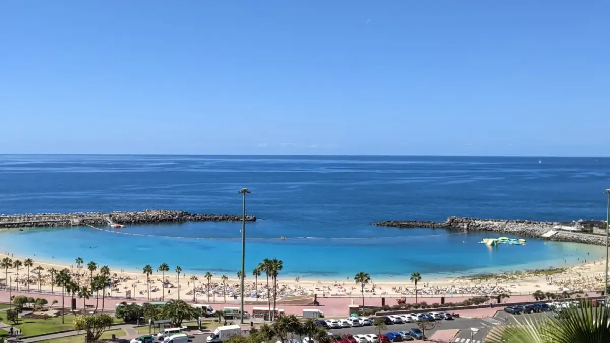 Amanecer dorado sobre el mar en Gran Canaria, con palmeras en primer plano