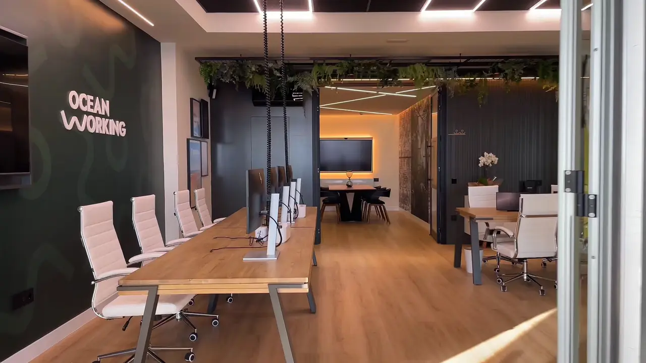 Inside the OceanWorking coworking in Maspalomas: wooden desks, white chairs, hanging plants and the meeting room at the back