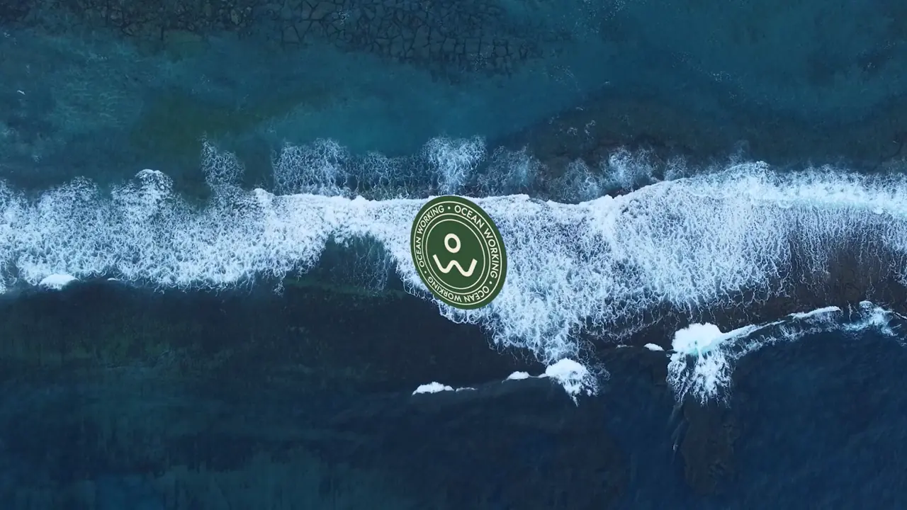 Luftaufnahme der Wellen, die an der vulkanischen Küste Gran Canarias brechen, mit dem OceanWorking-Siegel