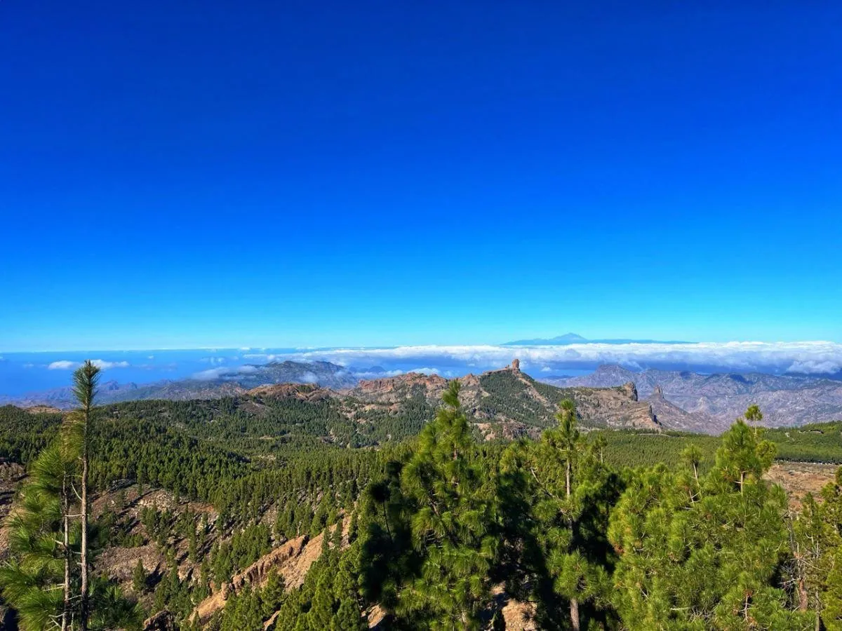 Pico de las Nieves